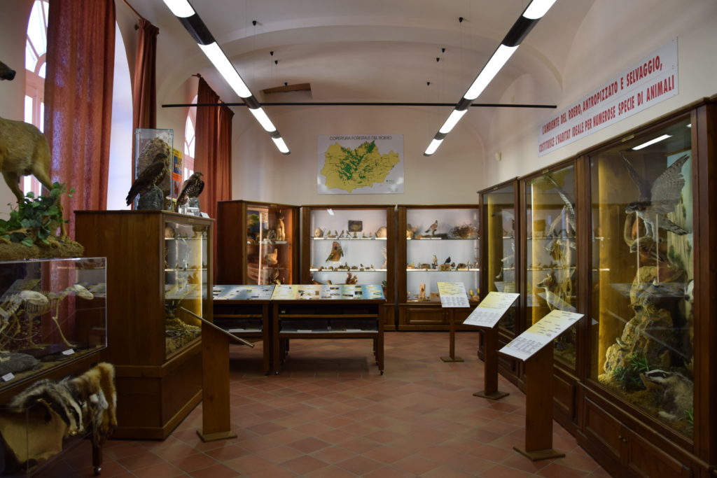 TAPPA 1: VEZZA D'ALBA – Strada Romantica delle Langhe & del Roero Museo Naturalistico del Roero