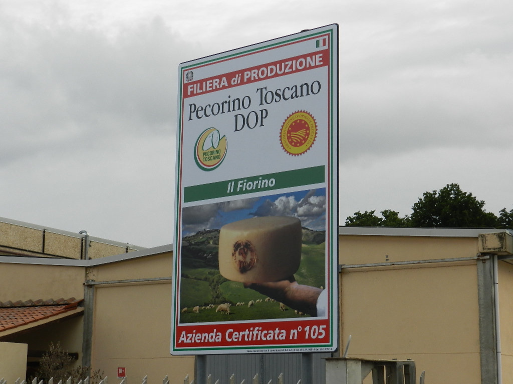 Blogtour – Seconda Parte: Come nasce il Pecorino Toscano DOP?